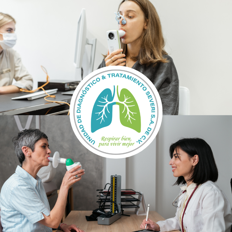 Imagen del artículo